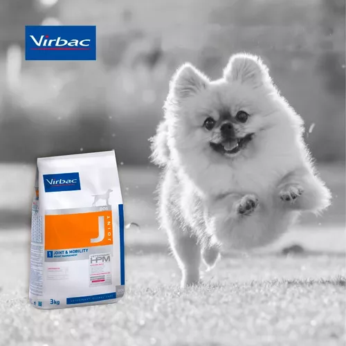 Joint and mobility dry food Virbac